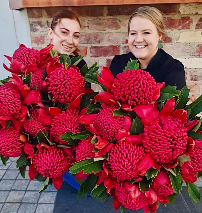 Locally Grown Waratahs