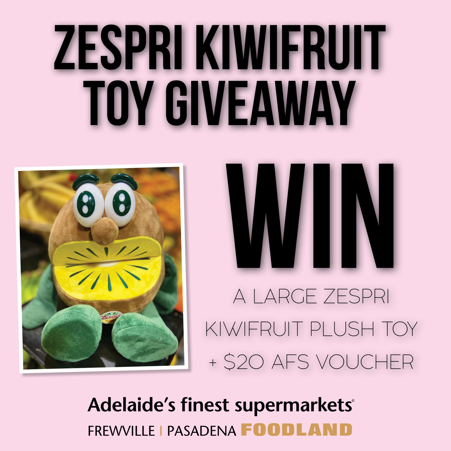 zespri kiwi plush